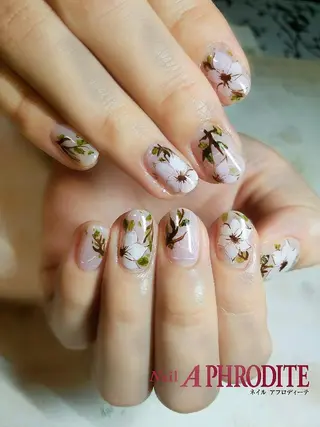 ネイル Nail  Aphroditeのネイルデザイン