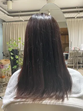 セミロング 韓国風レイヤーカラー ライムのヘアスタイル
