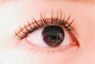 マツエク・マツパ ラペーシュ　アヴニール所属・ラペーシュ アヴニールの眉毛・アイブロウイメージ