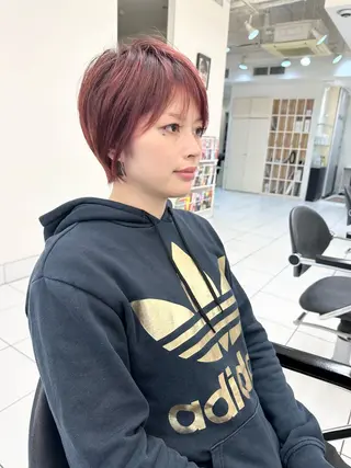 ショート カラー 小池 功のヘアスタイル