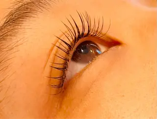 マツエク・マツパ Pearl eye池袋店のマツエク・マツパデザイン