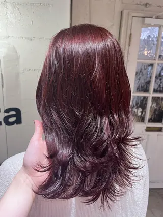 ミディアム カラー 🇰🇷柔らか透明感 ／Miho🫧のヘアスタイル