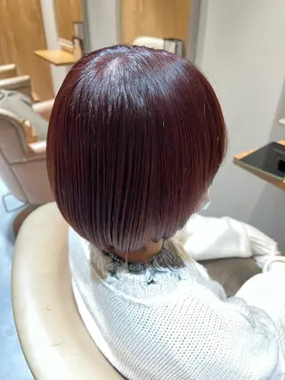 ショート カラー 大河原 美優のヘアスタイル