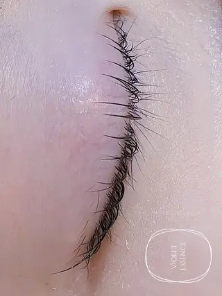 マツエク・マツパ Violet Essenceの眉毛・アイブロウイメージ