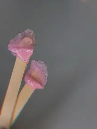 LULA池袋店 HAYASAKAのエステ・リラクイメージ