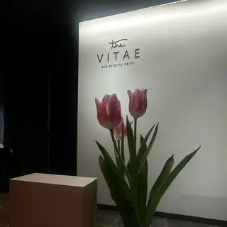 マツエク・マツパ Shizuki Teradaのマツエク・マツパデザイン