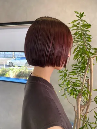 カラー 白井 音羽のヘアスタイル