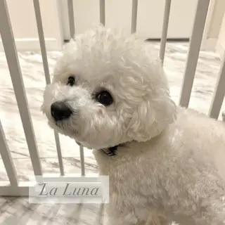 ネイル ＬａＬｕｎａ🌙 Natsukiのネイルデザイン