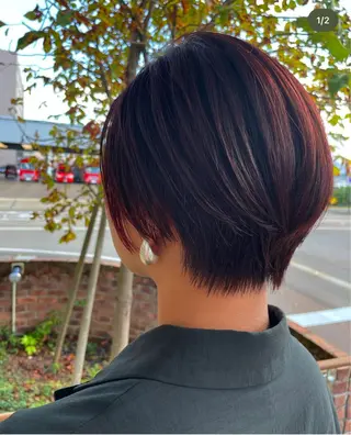 ショート 白木 柾美のヘアスタイル