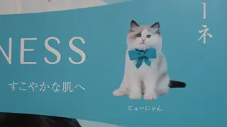 メナード丸の内ヒルズ 柳田りさのエステ・リラクイメージ