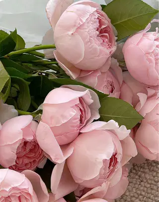 小顔 🌿R-isa森井のエステ・リラクイメージ