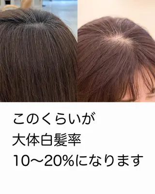 カラー 白髪ぼかし/美髪矯正 /宮崎陽平のヘアスタイル