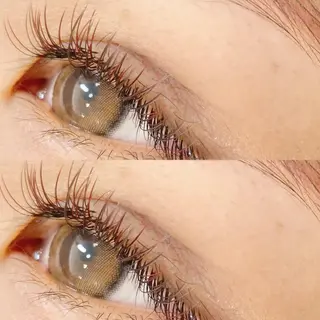 マツエク・マツパ Lily (リリー) 🔰下坂のマツエク・マツパデザイン