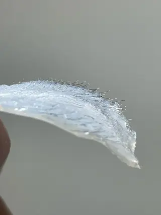 amu nail. RINAのネイルデザイン