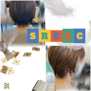 ショート 菊地 あやかのヘアスタイル