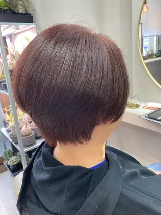 ショート 池田 太一のヘアスタイル