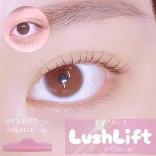 マツエク・マツパ 【ダメージケア特化】 🌸 サクララッシュの眉毛・アイブロウイメージ