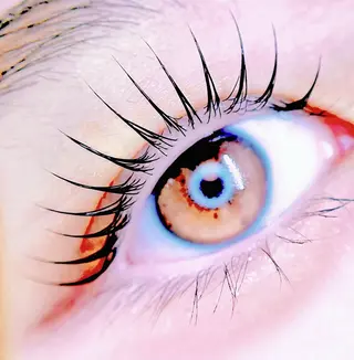 マツエク・マツパ 🎀eyelist. mizuki🐈‍⬛の眉毛・アイブロウイメージ