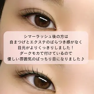 マツエク・マツパ 【ダメージケア特化】 🌸 サクララッシュの眉毛・アイブロウイメージ