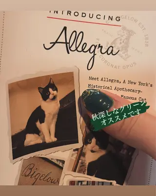 ネイル 🍎吉田 恵里🍎のその他イメージ