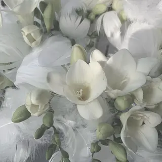 miki ✴︎ 田町/パラジェルのネイルデザイン