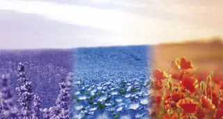 ミディアム カラー カミノア所属・4月予約解放しまし たイルミナ公認荒井のヘアスタイル