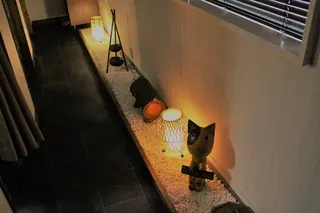 リゾートサロン アクアのヘアスタイル