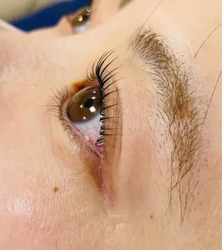 マツエク・マツパ マリーテレジア 研修モデル専用のマツエク・マツパデザイン