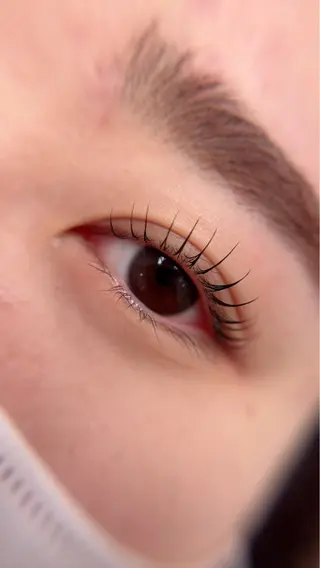 マツエク・マツパ Maile leaf 【マイレリーフ】のマツエク・マツパデザイン