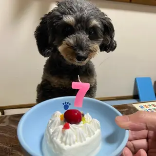 TIDEHAIR SHIHOのヘアスタイル