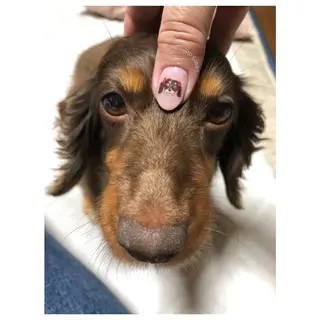 ネイル 中村 宙のネイルデザイン