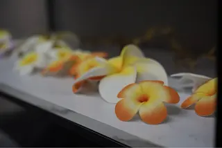 痩身・脱毛・肌管理 Rechica心斎橋のエステ・リラクイメージ