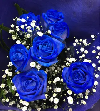 kawano shieriのエステ・リラクイメージ