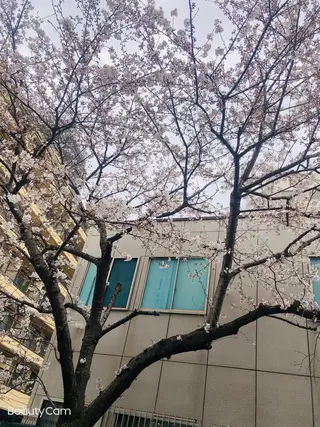 マツエク・マツパ 伊藤名紬 マツエク専門のマツエク・マツパデザイン