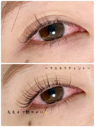 マツエク・マツパ Plume micoのマツエク・マツパデザイン