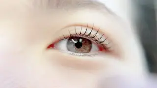 マツエク・マツパ Maile leaf 【マイレリーフ】のマツエク・マツパデザイン