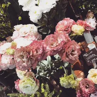 ⌇🌹透明感カラー 🌹ᴍᴇɢᴜᴍɪ ⌇のヘアスタイル