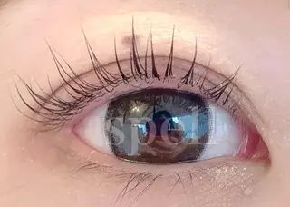 マツエク・マツパ spell eyelashのマツエク・マツパデザイン