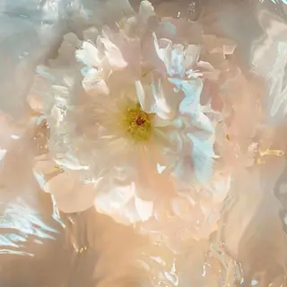 マツエク・マツパ eyelist 𝐧𝐚𝐨のマツエク・マツパデザイン