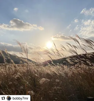 ミディアム カラー メンズ 🩷Eny terrace🩷のヘアスタイル