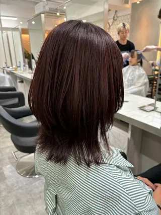 ミディアム カラー Ｖｉｏｔ  銀座 樋口 桃佳のヘアスタイル