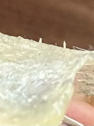 ヌーベル プリュムのその他イメージ