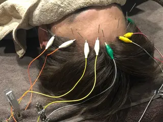 セントラル鍼灸院 Re:laxyのヘアスタイル
