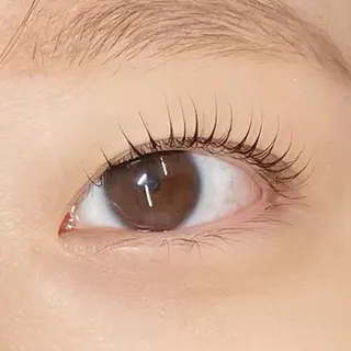 マツエク・マツパ 【ダメージケア特化】 🌸 サクララッシュの眉毛・アイブロウイメージ