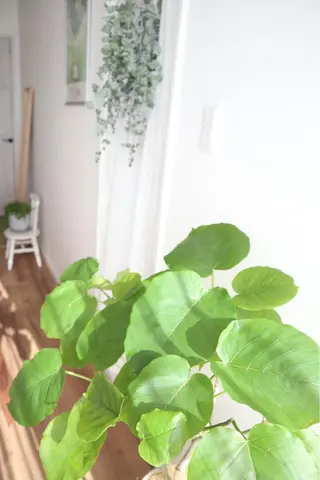 井貝 かおりのエステ・リラクイメージ