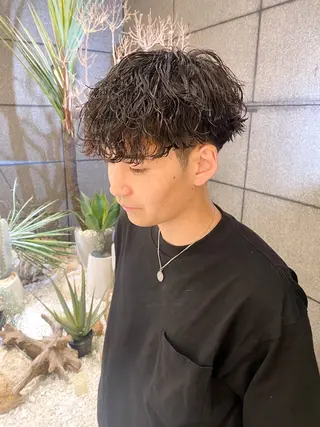 ショート パーマ メンズ 酸スト/フェザー パーマ/三谷海斗のヘアスタイル