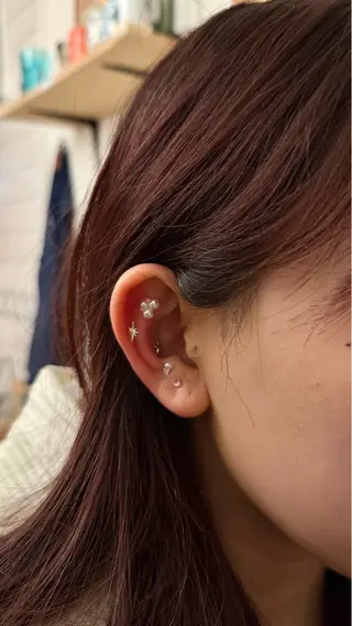 B.napus/mimi2bo所属・B.napus Nanohaのその他イメージ