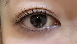 マツエク・マツパ Carrefour Noa🕊️上野店の眉毛・アイブロウイメージ