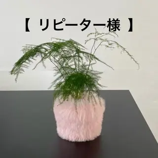 any ［Hata Aya］のエステ・リラクイメージ