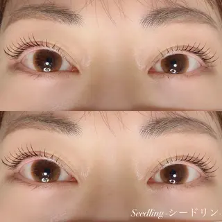 マツエク・マツパ シードリン 府内店 小野梨央のマツエク・マツパデザイン